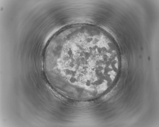 X0000070420925200607072330