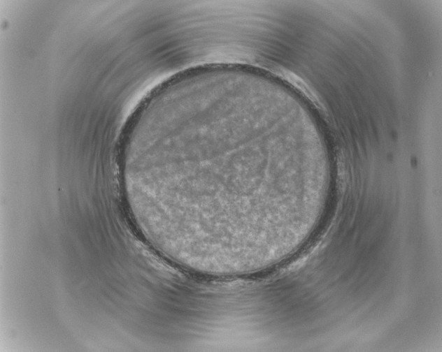 X0000070420926200607072330