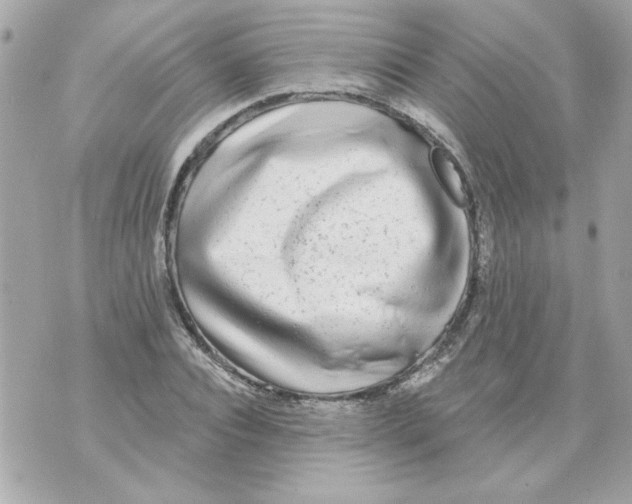 X0000070420928200607072331