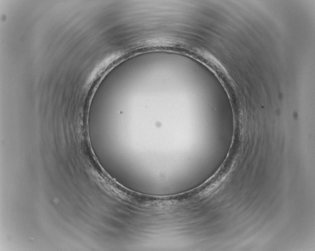 X0000070420930200607072331