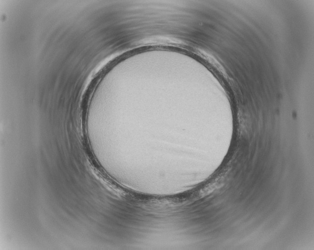 X0000070420931200607072331