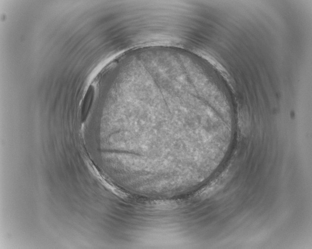 X0000070420933200607072331