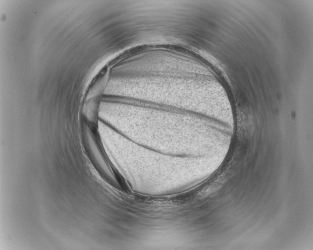 X0000070420935200607072331