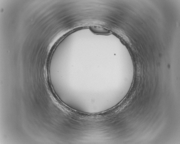 X0000070420936200607072331