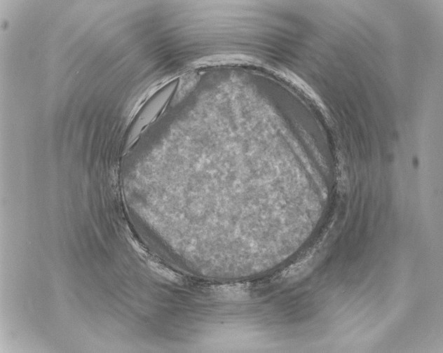 X0000070420937200607072331