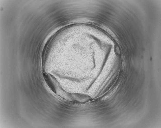 X0000070420939200607072331