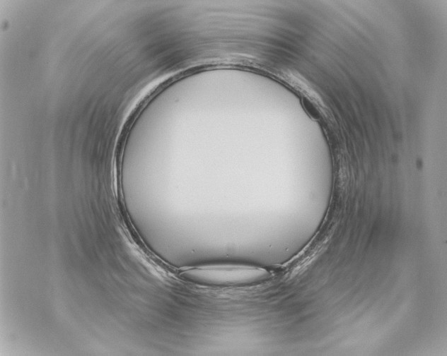 X0000070420940200607072331