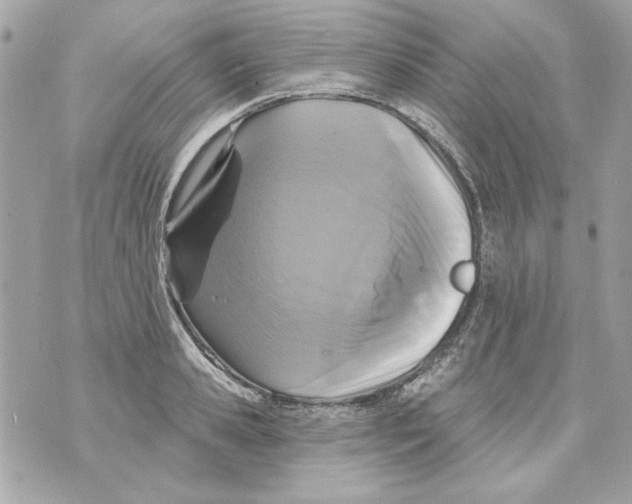 X0000070420941200607072331