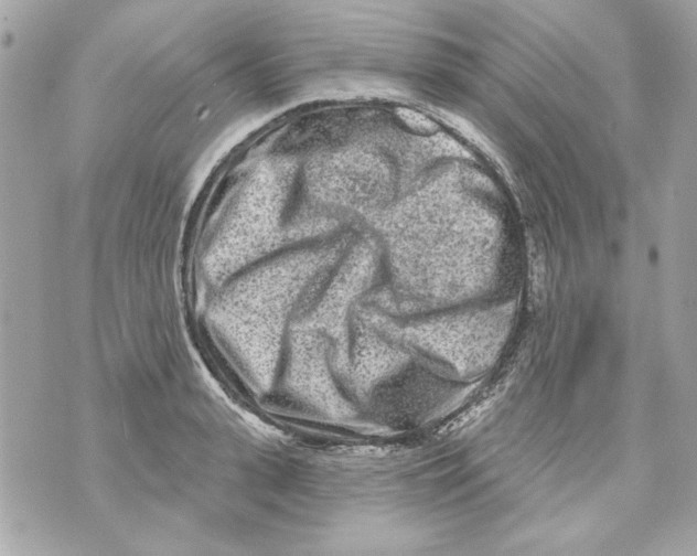 X0000070420943200607072331