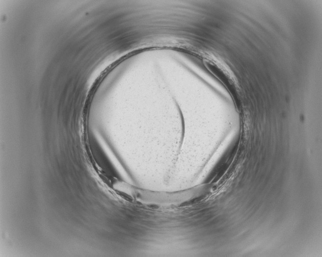 X0000070420944200607072331