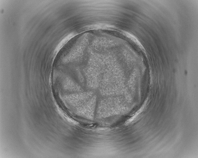 X0000070420946200607072331