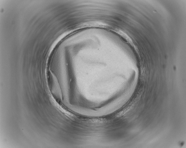 X0000070420947200607072331