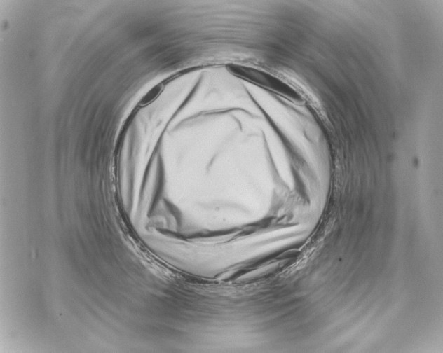 X0000070420948200607072331