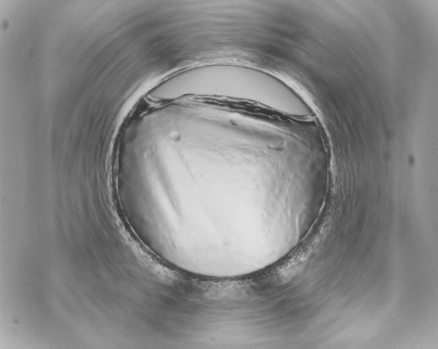 X0000070420949200607072331