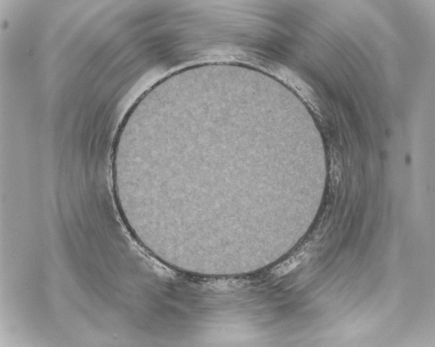 X0000070420950200607072331