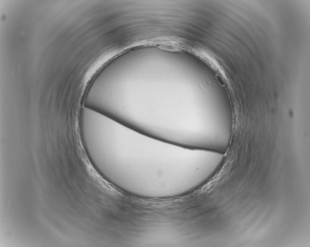 X0000070420952200607072331