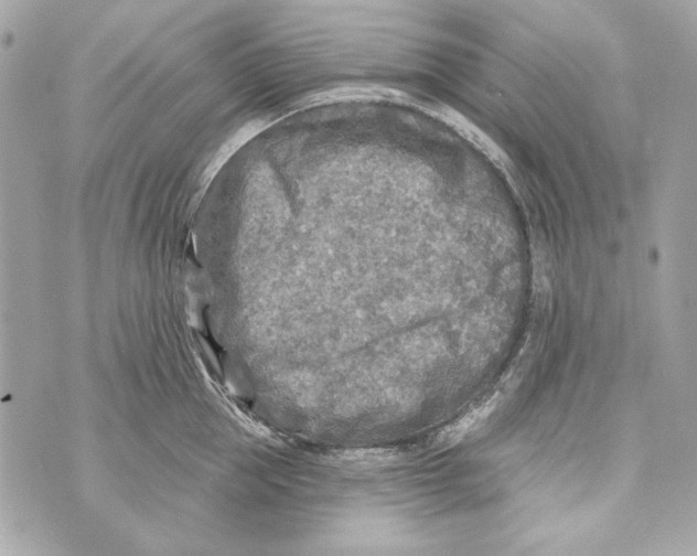 X0000070420953200607072331