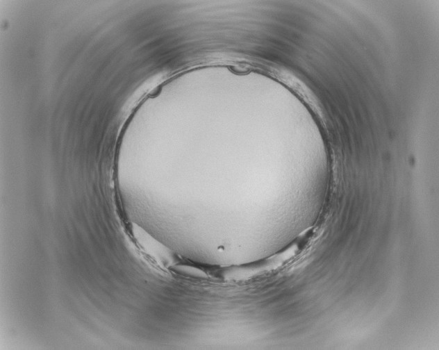 X0000070420954200607072331