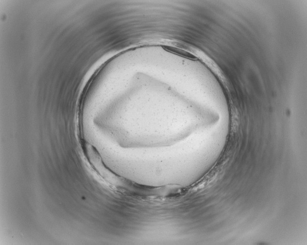 X0000070420955200607072331