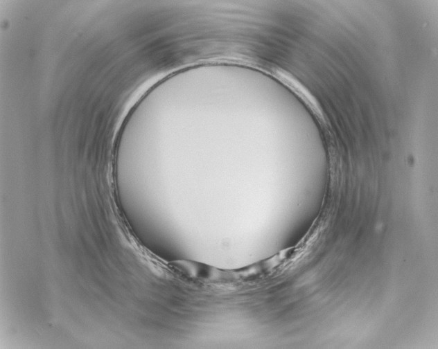 X0000070420956200607072331