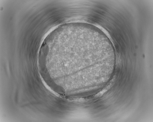 X0000070420957200607072331