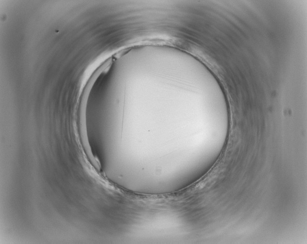 X0000070420960200607072331