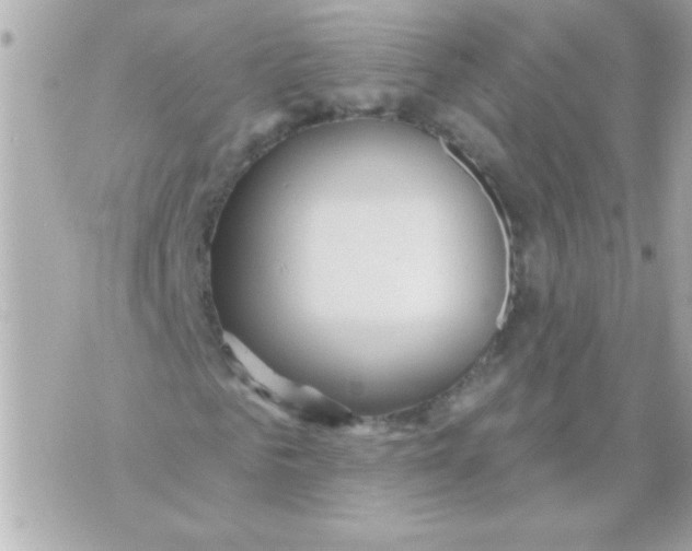 X0000070420961200607072330