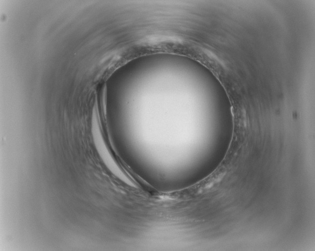 X0000070420965200607072330