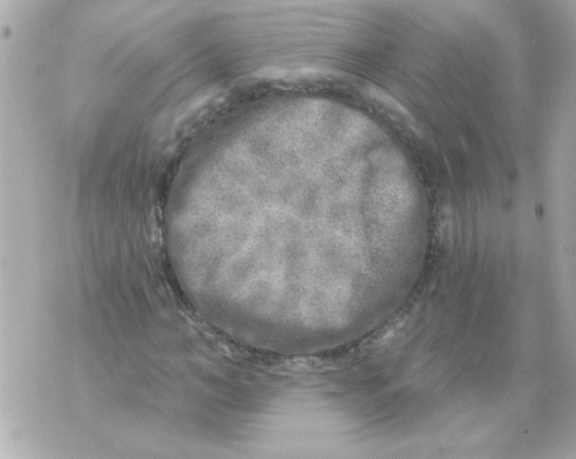 X0000070420966200607072330