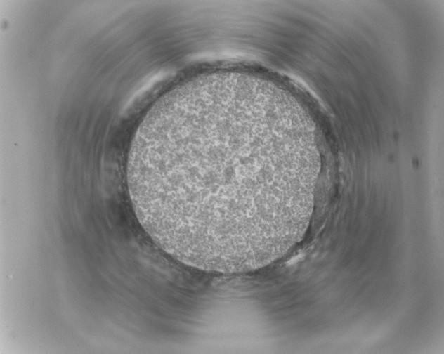 X0000070420967200607072330