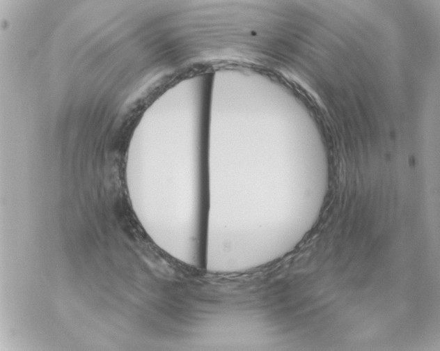 X0000070420968200607072330