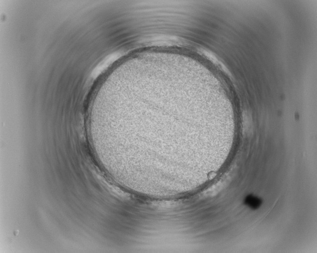 X0000070420970200607072330