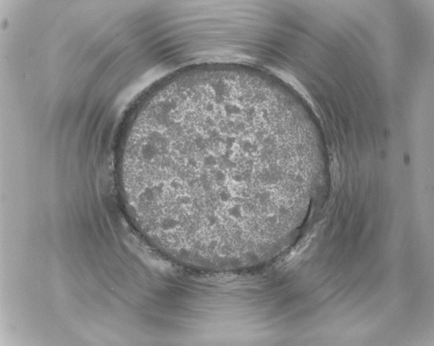 X0000070420971200607072330