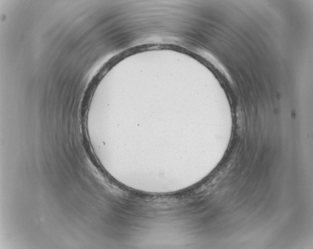 X0000070420972200607072330