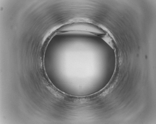 X0000070420973200607072330