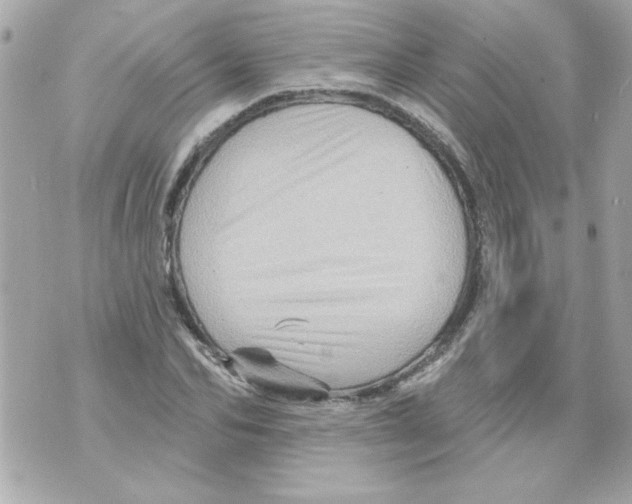 X0000070420974200607072330