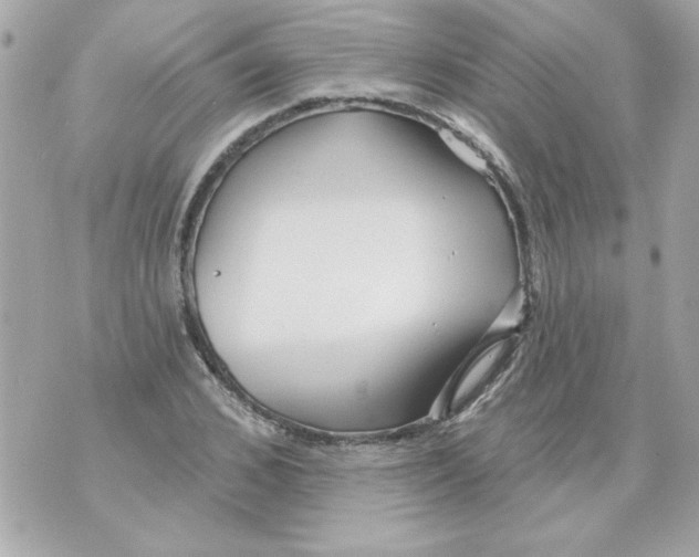 X0000070420976200607072330