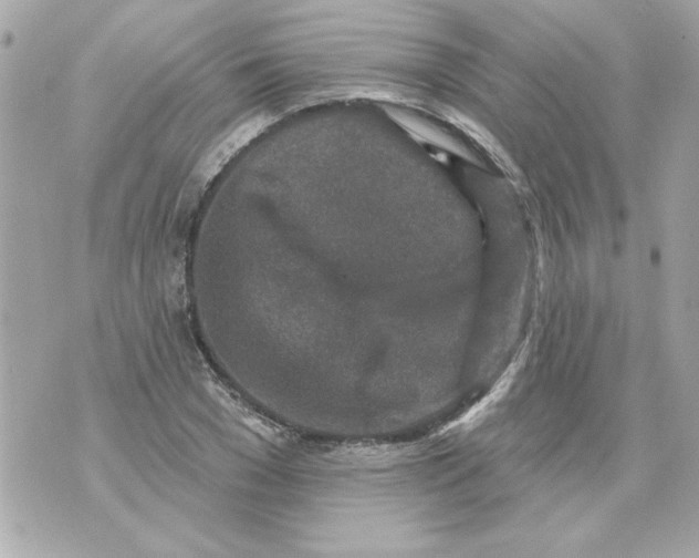 X0000070420977200607072330