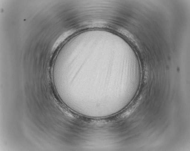 X0000070420978200607072330