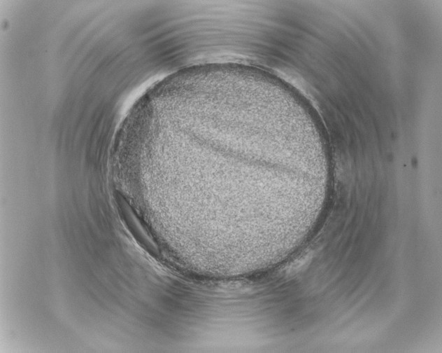 X0000070420979200607072330