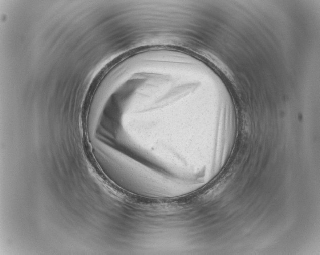 X0000070420980200607072330