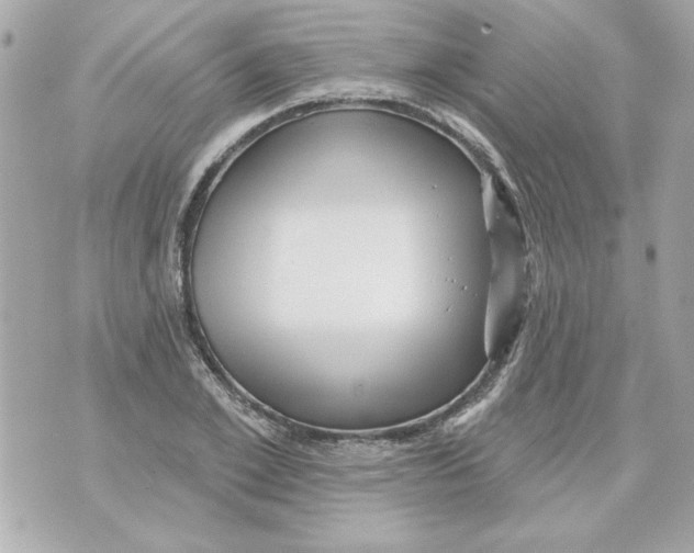 X0000070420981200607072330