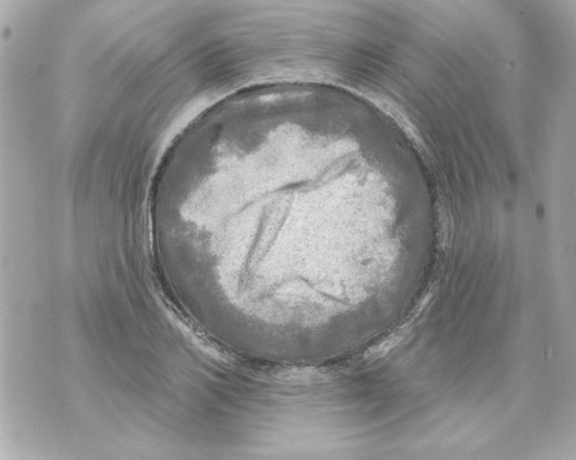 X0000070420982200607072330