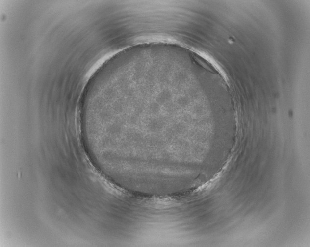 X0000070420983200607072330