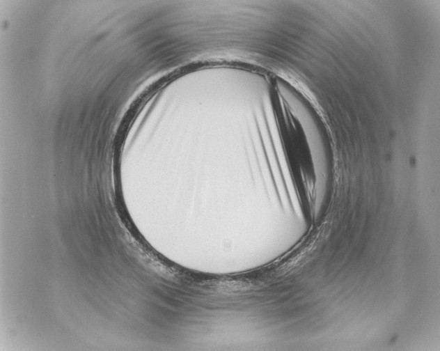 X0000070420984200607072330