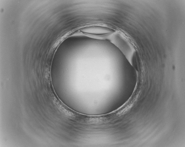 X0000070420985200607072330