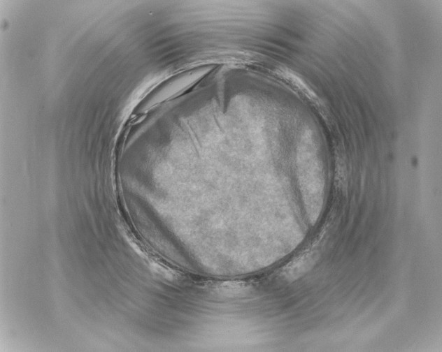 X0000070420986200607072330