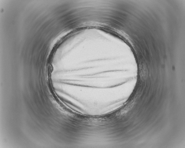 X0000070420987200607072330