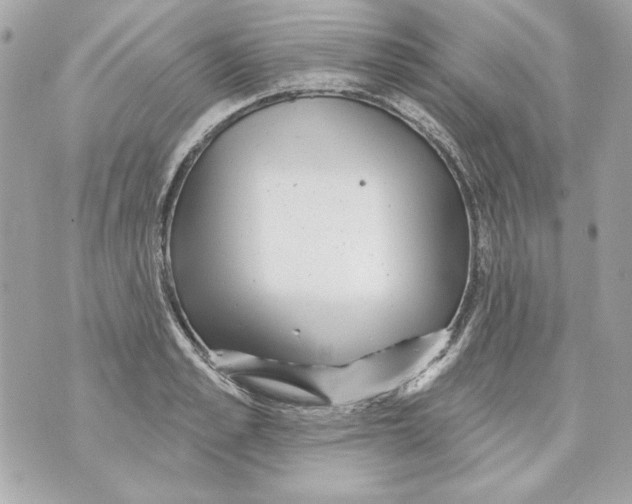 X0000070420989200607072330