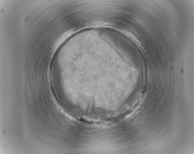 X0000070420990200607072330